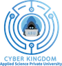Cyber Kingdom