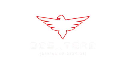 DoS_Team — Denial of Service